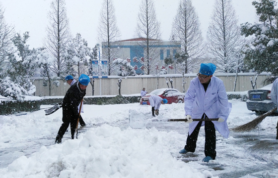 蚌埠血站开展党员活动日—清扫积雪活动