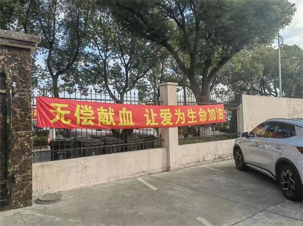 1737094162209608.jpg 02.jpg